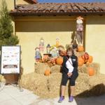 cambria_106 (November 02, 2018)